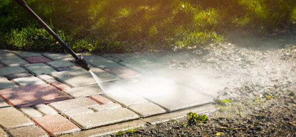 Best Solar Panel Cleaning  in Buena Vista, VA